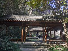 -杭州植物园