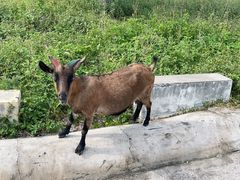 -三亚西岛海洋文化旅游区