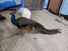 -常州海昌海洋探索馆