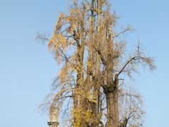 景点-崇州市街子古镇