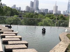 -行者书屋大堂吧 ·下午茶(南京圣和府邸酒店)