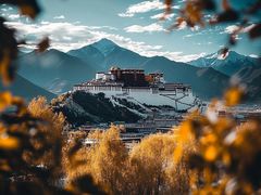 -布达拉宫