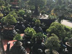 -东芭乐园