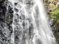 -马峦山郊野公园