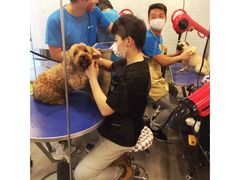 -PETKIT小佩宠物(古北店)