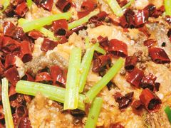 -老板恋上鱼(高新万达店)
