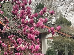 -海底捞火锅(铂澜大象城店)
