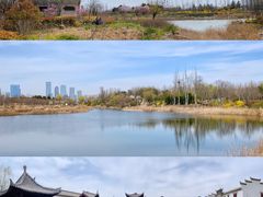 -唐岛湾公园