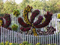 -上海共青森林公园