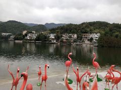 -海兰云天度假区温泉