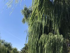 -长春市南湖公园