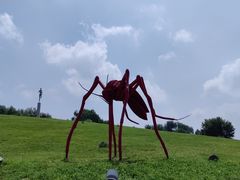 -莫子山公园