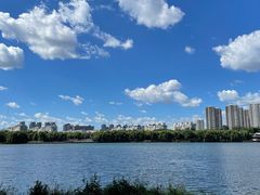-沈阳鸟岛