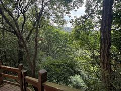 -凤栖山