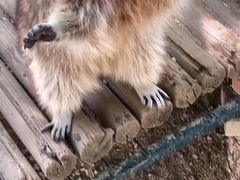-济南野生动物世界