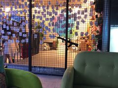-花果津喜·高端果切(汇一城总店)