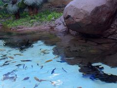 -上海海洋水族馆