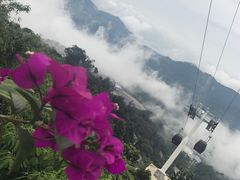 -云顶高原