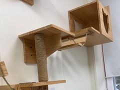 -美联众合动物医院·24h京西诊疗中心