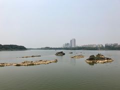 -飞来湖湿地公园
