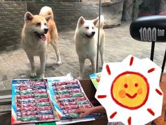 -南昌动物园