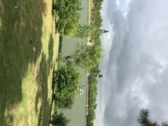 iphone_upload_pic-美兰湖景区