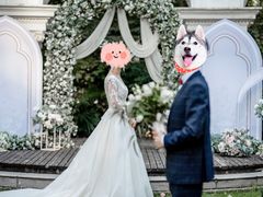 -上海安亭别墅花园酒店