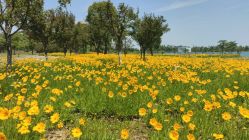 -龙子湖迎宾馆·宴会