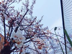 -西南民族大学南区(双流校区)