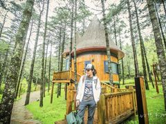 -洛阳白云山景区