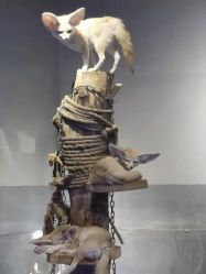 -未来动物城动物主题公园(大悦城店)