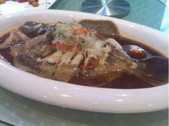 清蒸多宝鱼-金蝉食府(维吉奥广场店)