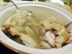 -龙泉人椰子鸡.糟粕醋.海南菜(三亚旗舰店)