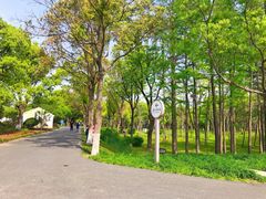 -嘉北郊野公园