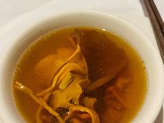 -食为先(Shark Fin)