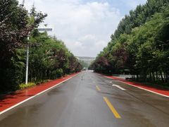 -微山湖红荷湿地景区