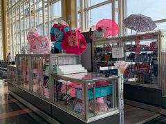 -罗纳德·里根华盛顿国家机场