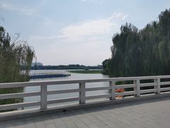 -大兴滨河森林公园