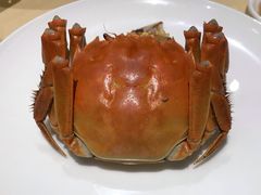 清蒸大闸蟹-王宝和酒家(黄浦店)