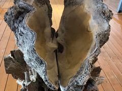 -蓝湾碧波·老字号·疍家非遗海上餐厅