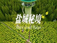 -黄海国家森林公园