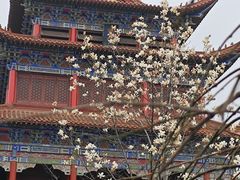 -开福禅寺