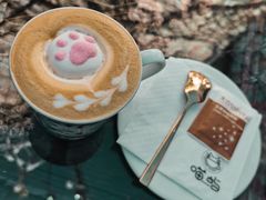 -喵屿·大理花园猫咖