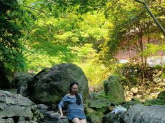 -宁波五龙潭景区