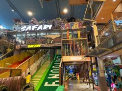 -卡通尼·Safari非洲探索乐园·生日会(金桥国际商业广场店)