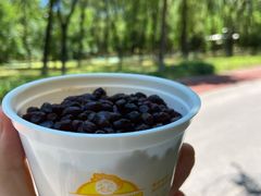 红豆双皮奶-牛姥姥牛奶酪