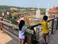 -呀路古热带植物园