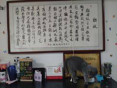 -我爱猫咪·猫咖·狗咖·安哥拉兔·羊驼咖(小寨华旗店)