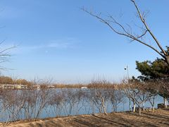 -大兴滨河森林公园