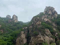 -大岭沟猕猴桃谷风景区